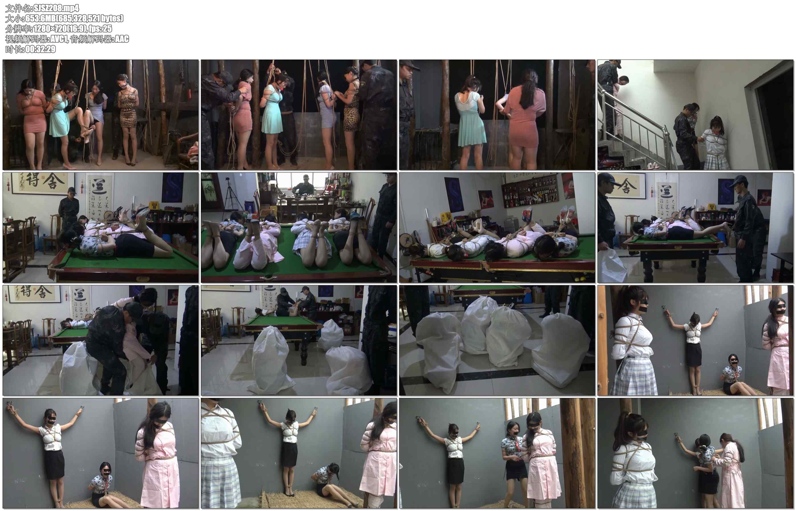 【胜景影视】失败的营救 2