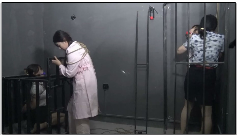 【胜景影视】失败的营救 3