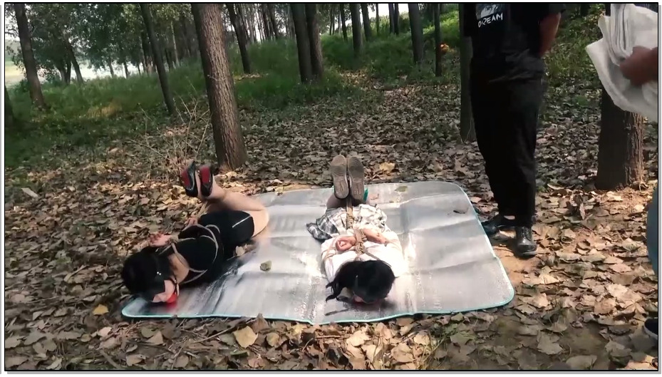 【胜景影视】落难姐妹 第十二集 