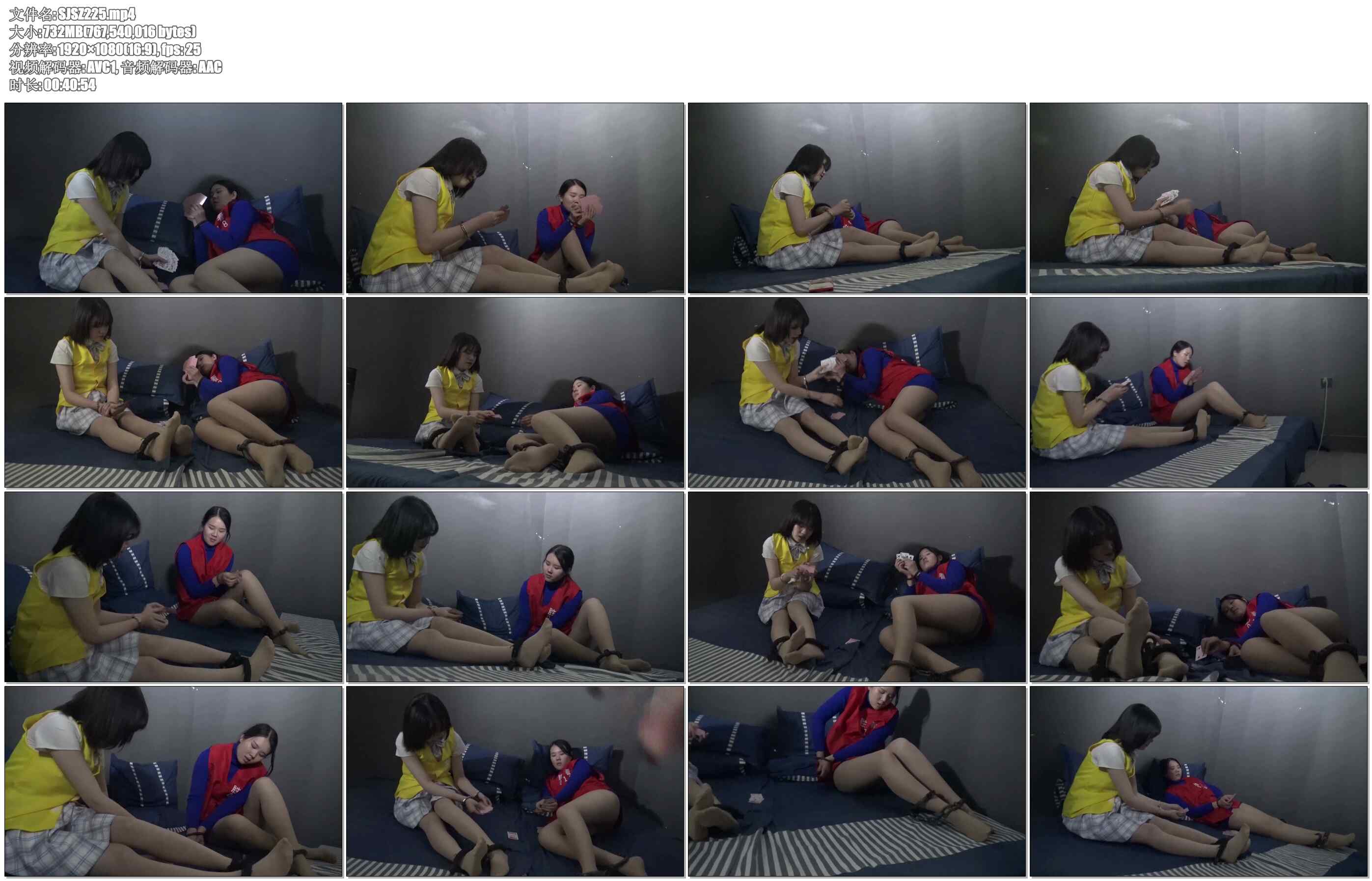 【胜景影视】最后的娱乐