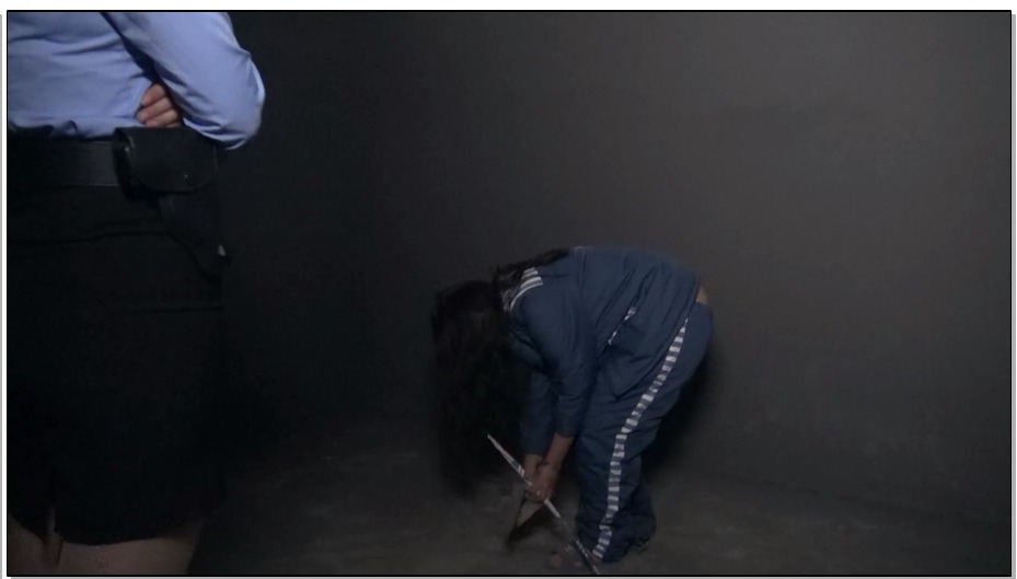 【胜景影视】双艳末日 双艳为了金钱的诱惑，走上犯罪道路