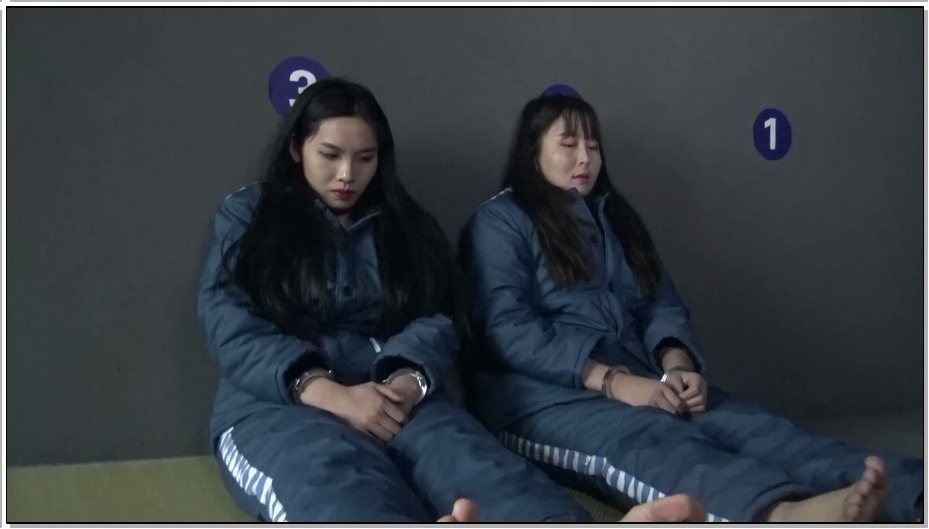 【胜景影视】双艳末日 双艳为了金钱的诱惑，走上犯罪道路