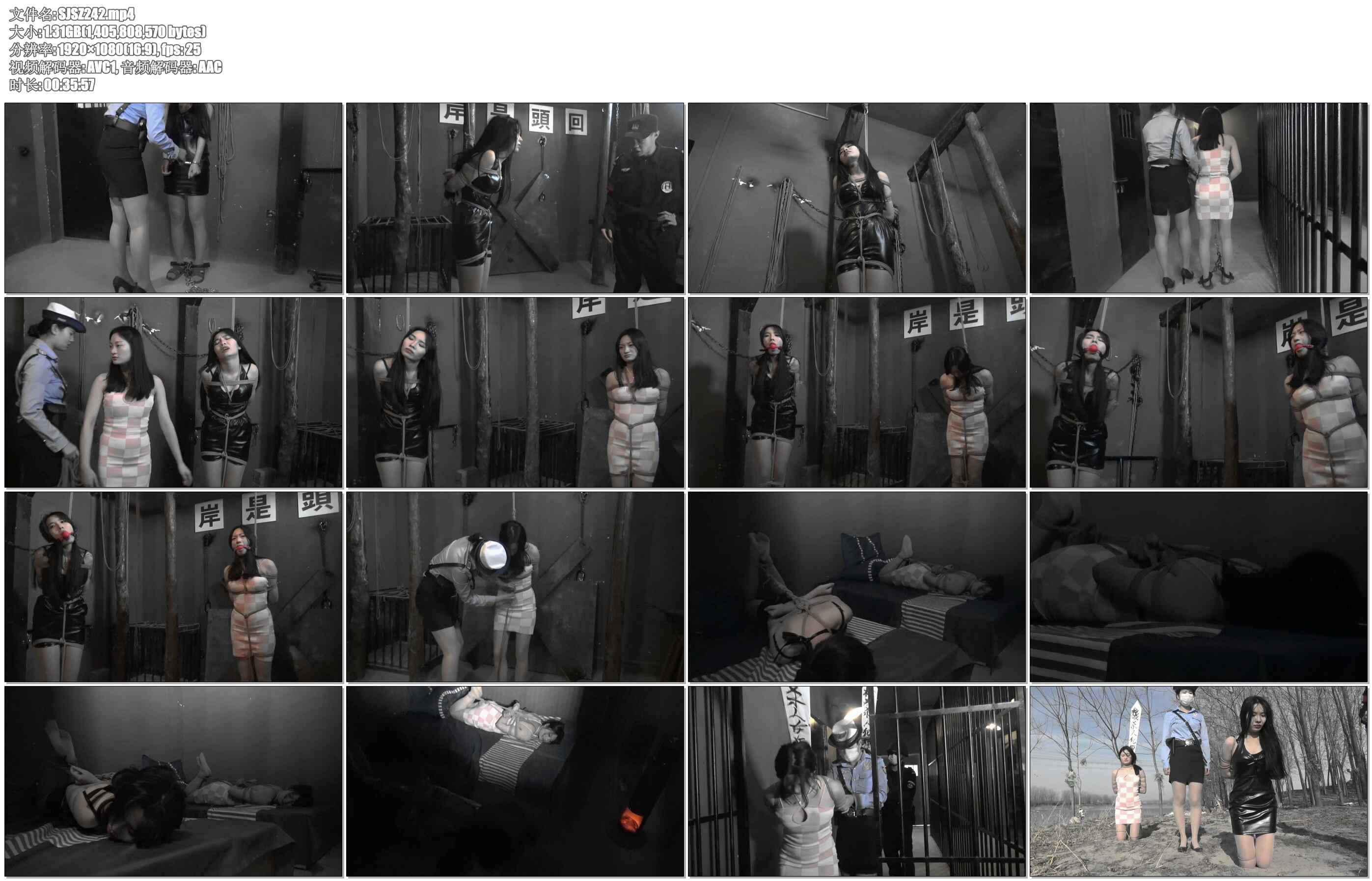 【胜景影视】凋落的花季 续集 下