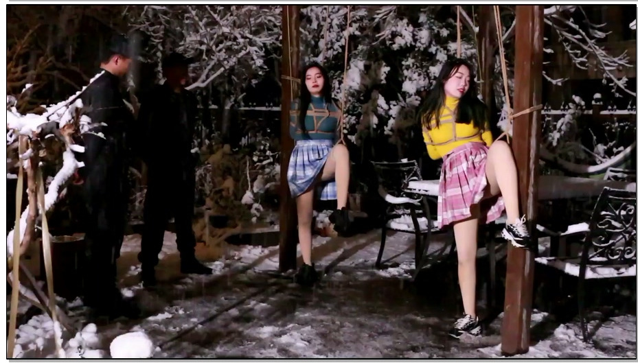 【胜景影视】卧底女警的下场