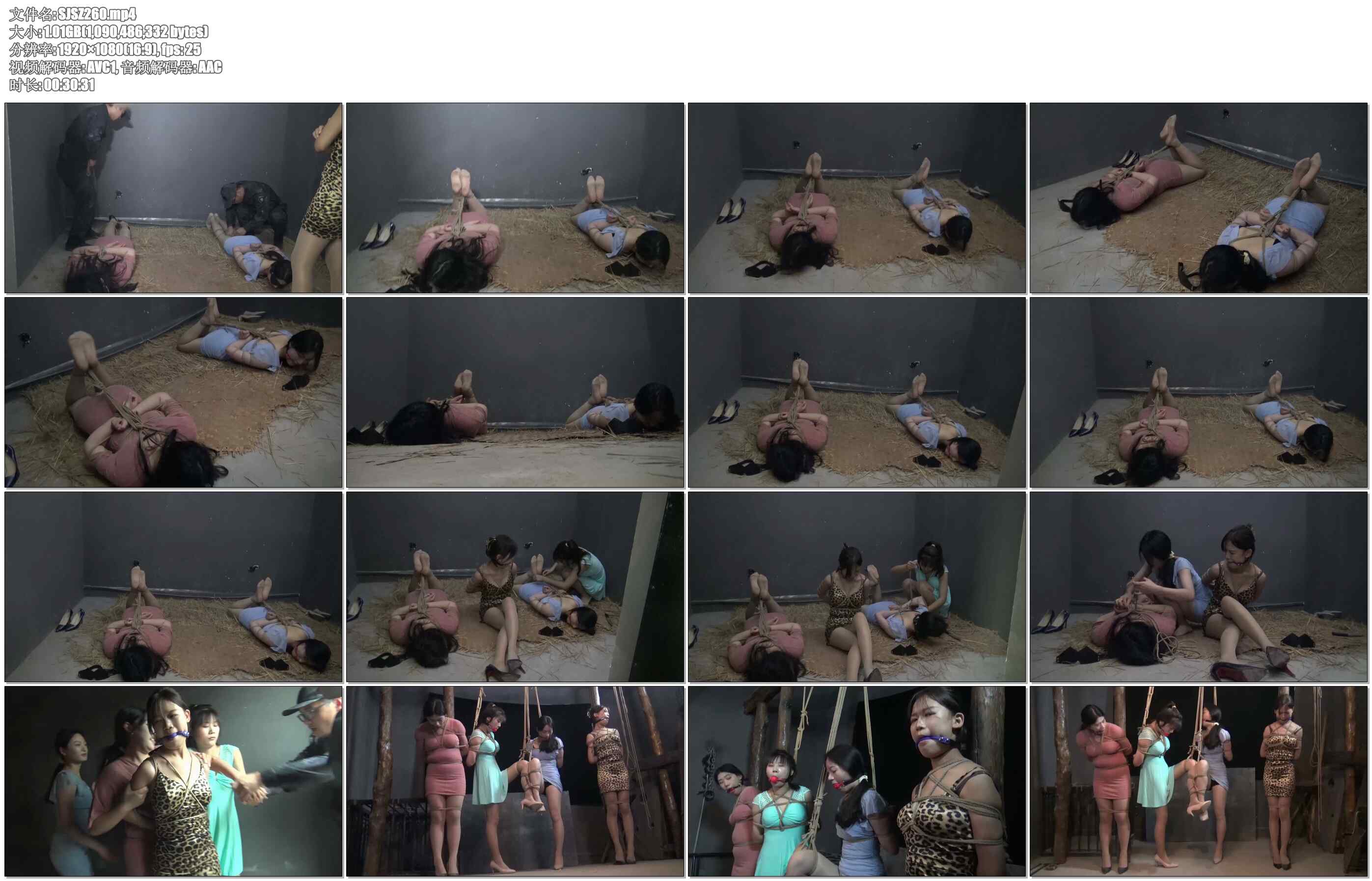 【胜景影视】落难姐妹 18