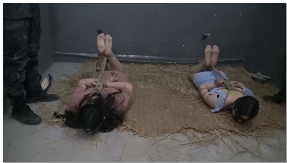 【胜景影视】落难姐妹 18