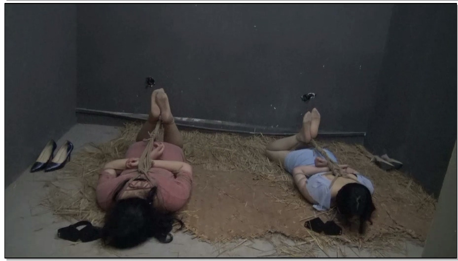 【胜景影视】落难姐妹 18