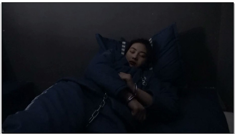 【胜景影视】双骄伏法记 上集 两美女年纪轻轻走上不归路