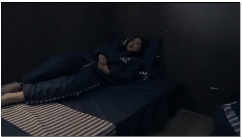 【胜景影视】双骄伏法记 上集 两美女年纪轻轻走上不归路