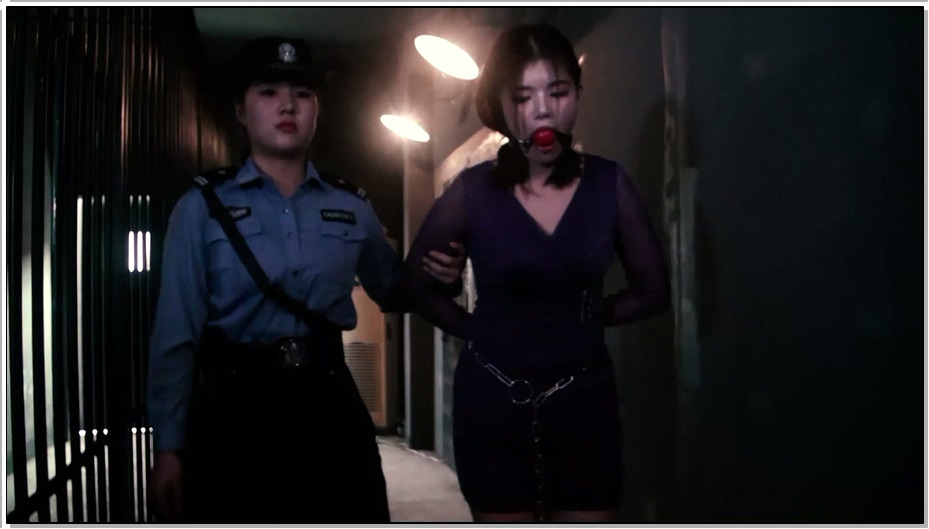 【胜景影视】梦想成真 忽悠自己情人给他老婆顶罪 