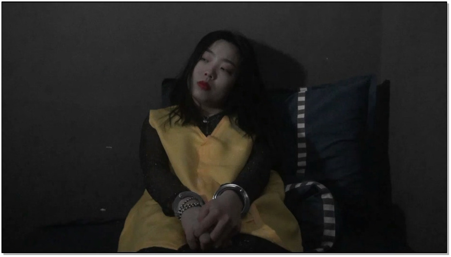 【胜景影视】凋零的花季 第一部 上