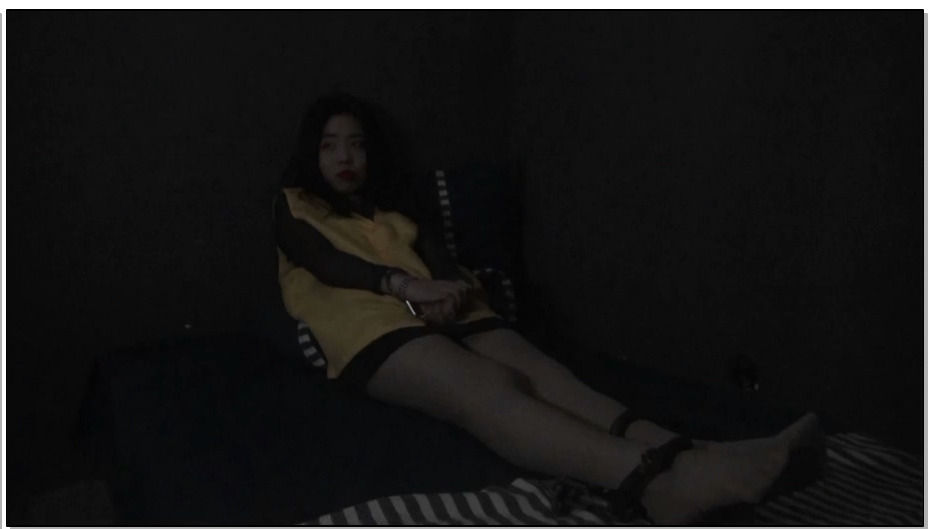 【胜景影视】凋零的花季 第一部 中集