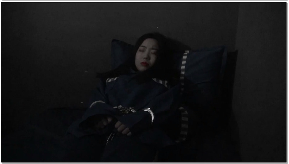 【胜景影视】凋零的花季 第一部 中集