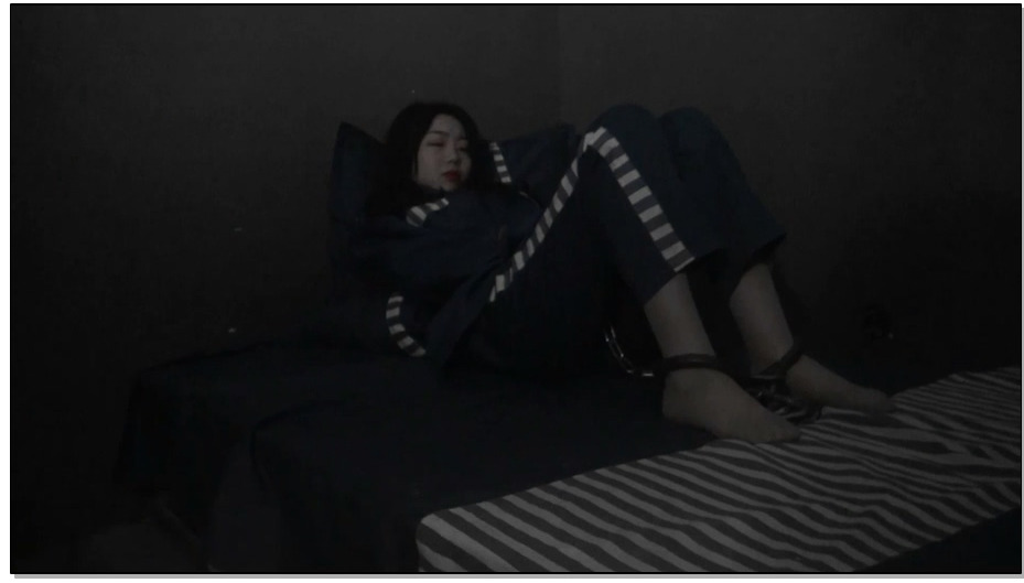 【胜景影视】凋零的花季 第一部 中集