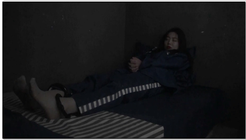 【胜景影视】凋零的花季 第一部 下