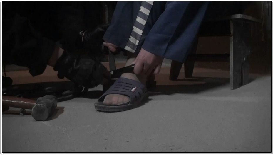 【胜景影视】凋零的花季 第一部 下