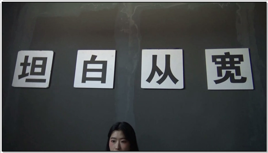 【胜景山庄】缉毒行动 上集 卧底刘青为了破获国际贩毒案，自己去集团卧底