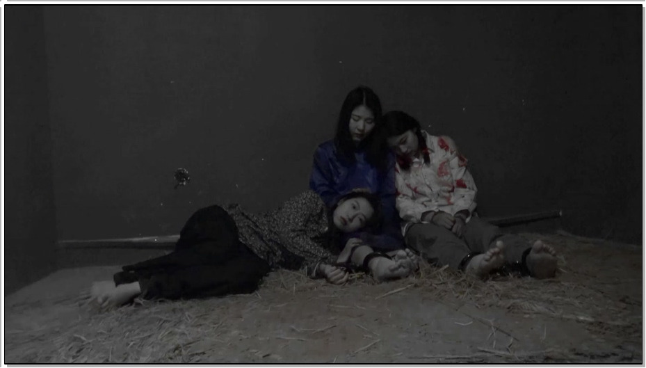 【胜景影视】血映红梅 上集 王梅和她的同志被敌人抓捕刑讯