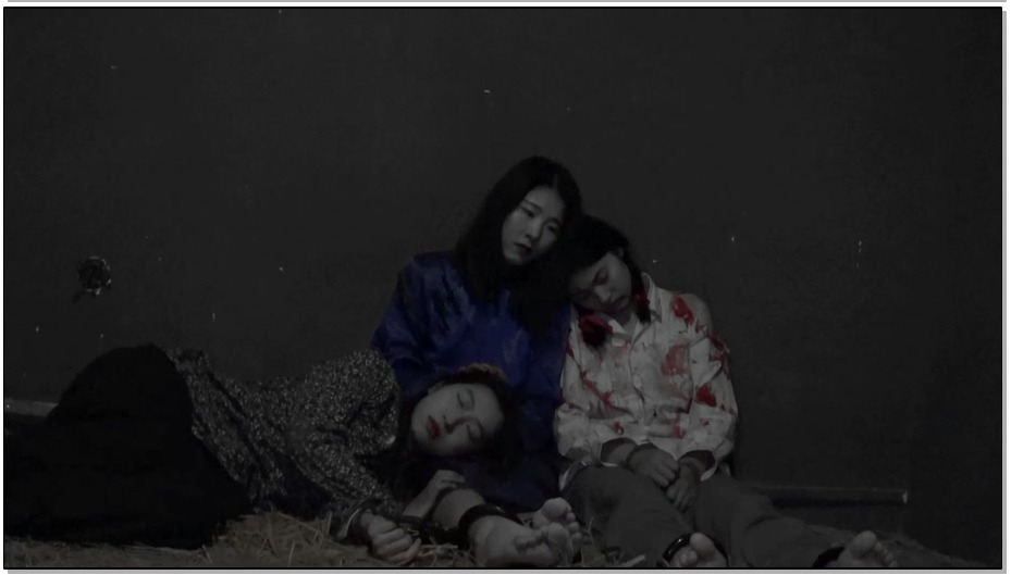 【胜景影视】血映红梅 上集 王梅和她的同志被敌人抓捕刑讯