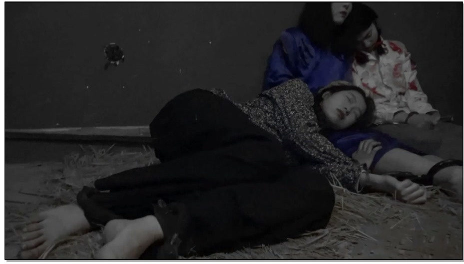 【胜景影视】血映红梅 上集 王梅和她的同志被敌人抓捕刑讯