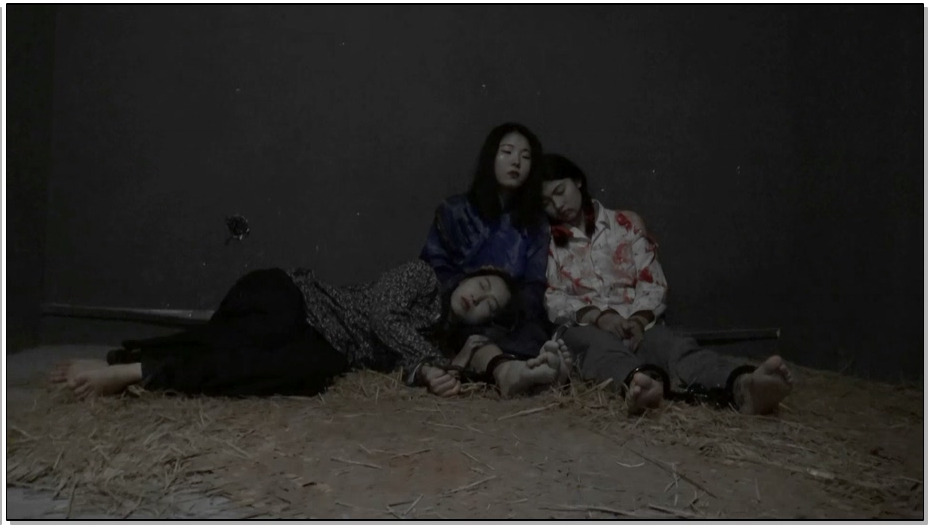 【胜景影视】血映红梅 上集 王梅和她的同志被敌人抓捕刑讯