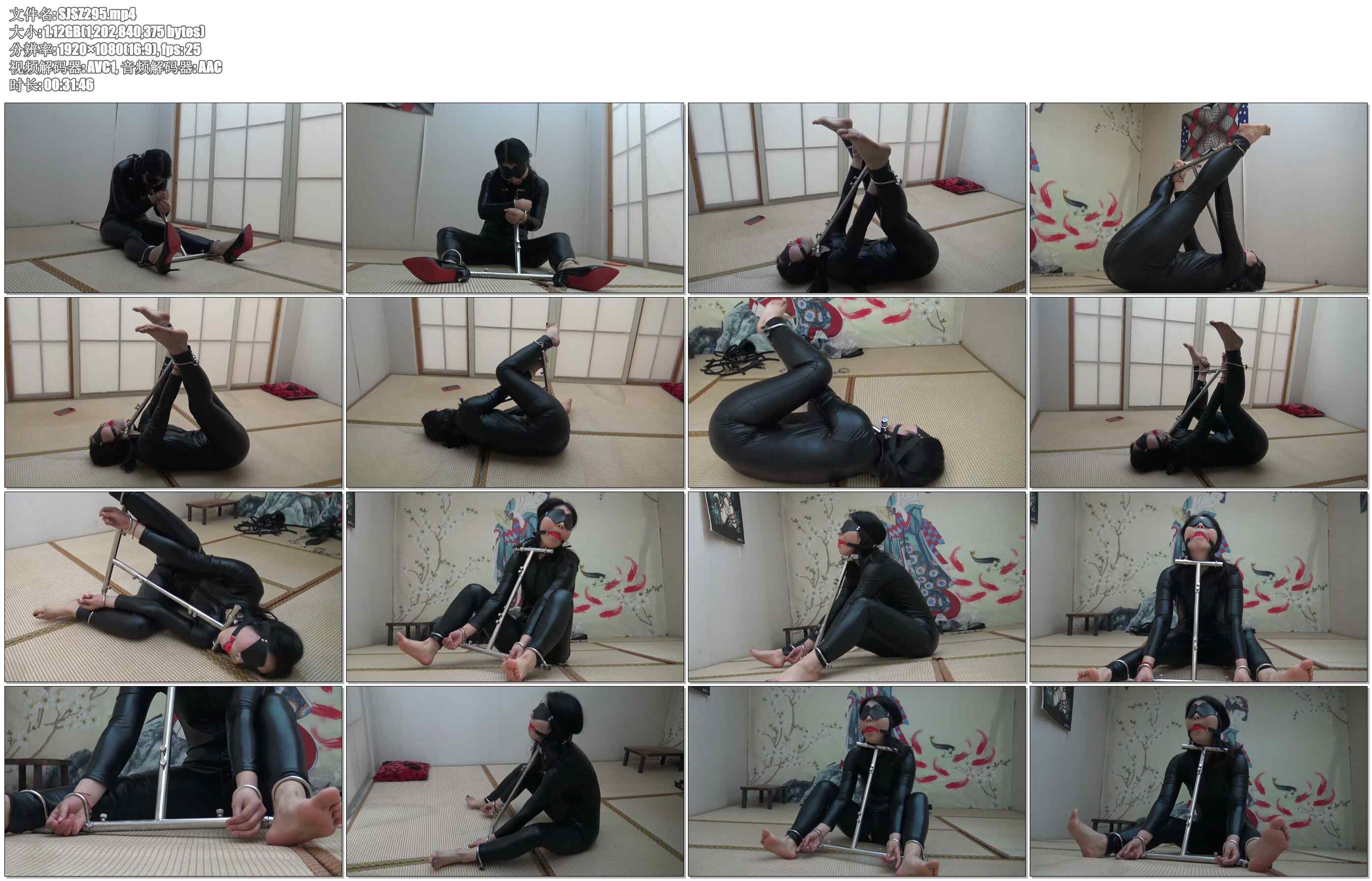 【胜景影视】金属多功能拘束器放置