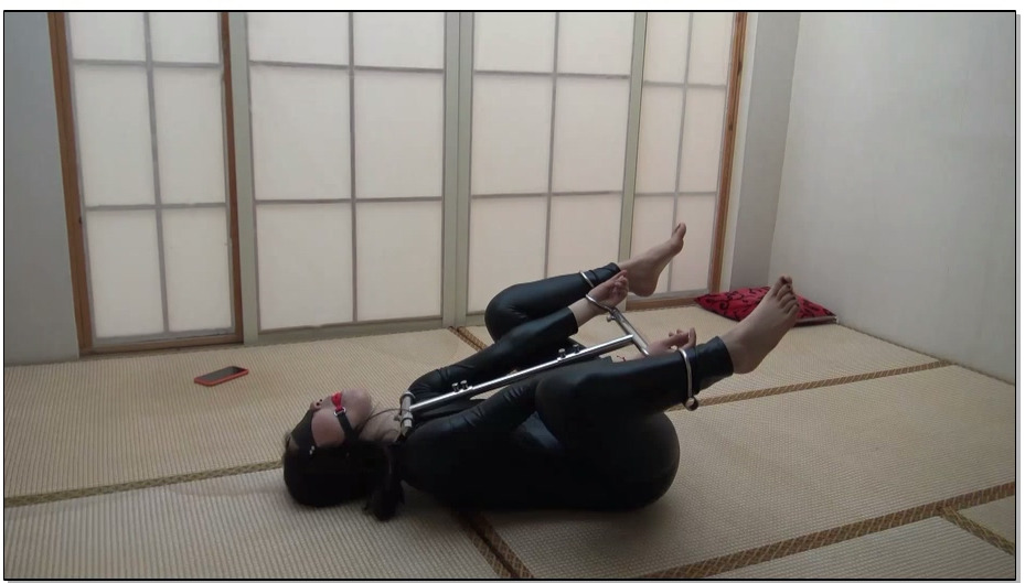 【胜景影视】金属多功能拘束器放置