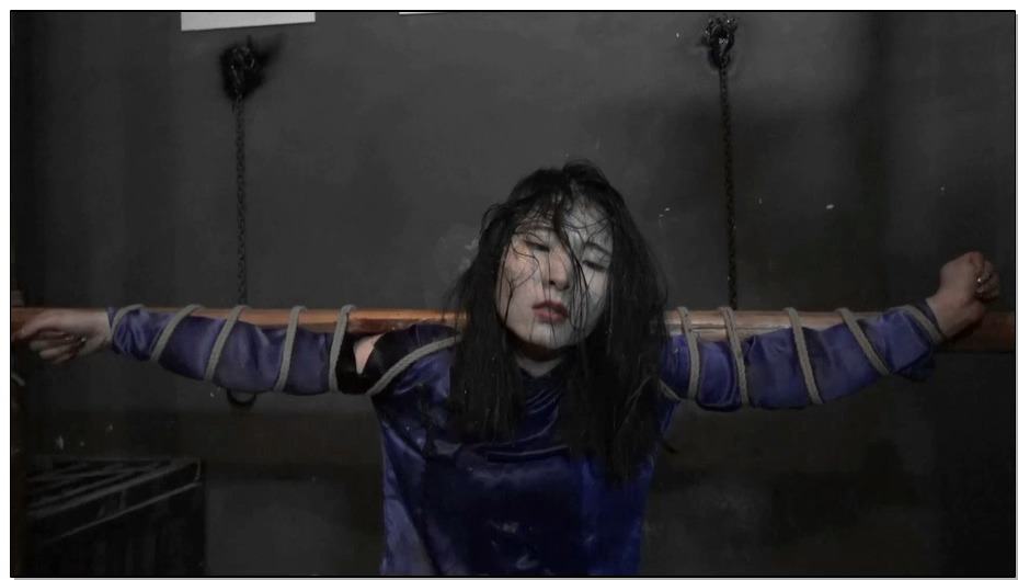 【胜景影视】血映红梅 下集 王梅和她的同志被敌人严刑拷打，最后被残忍杀害