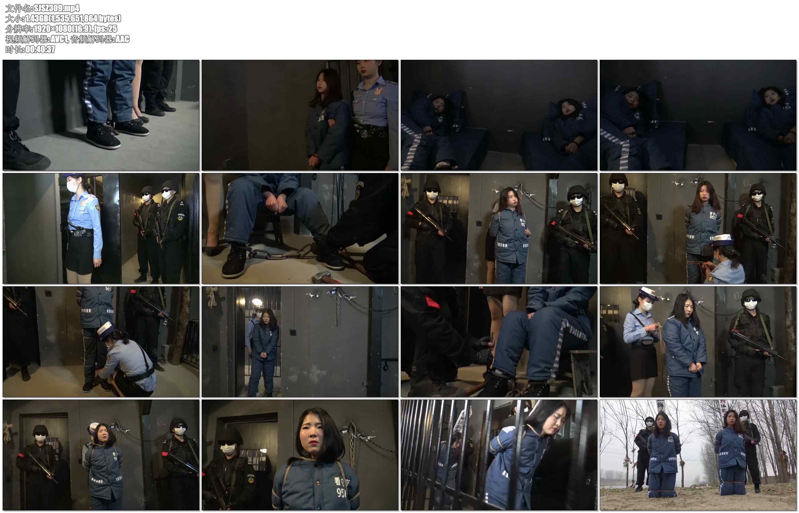 【胜景影视】毒贩落网记 下集 两女犯二审维持原判，双双被执行枪决