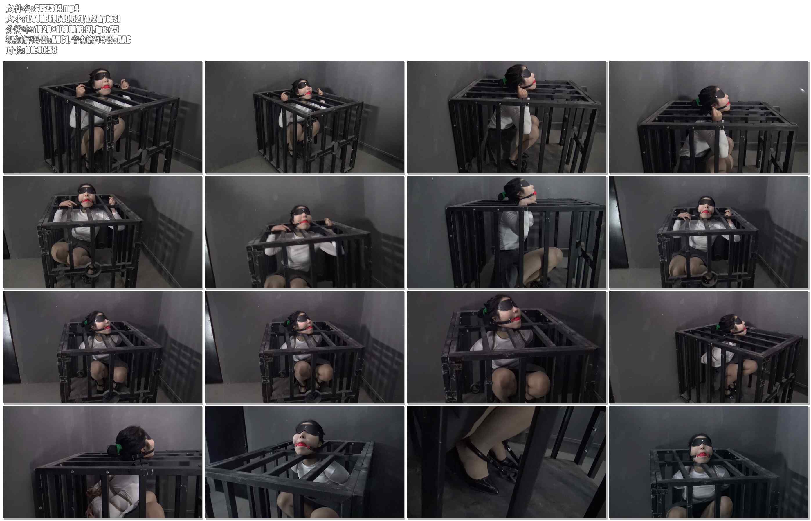 【胜景影视】女飞贼魔窟历险记2