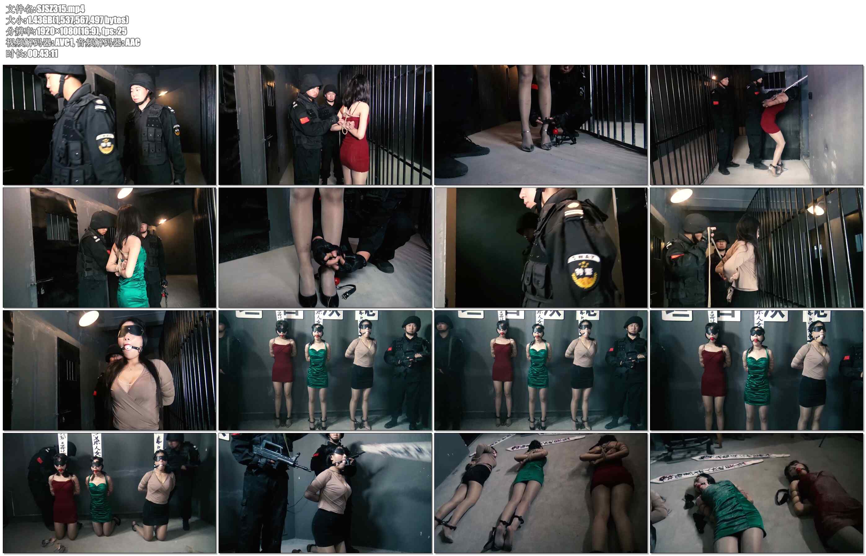 【胜景影视】三魔女的末日 三魔女罪大恶极，全部被秘密枪决