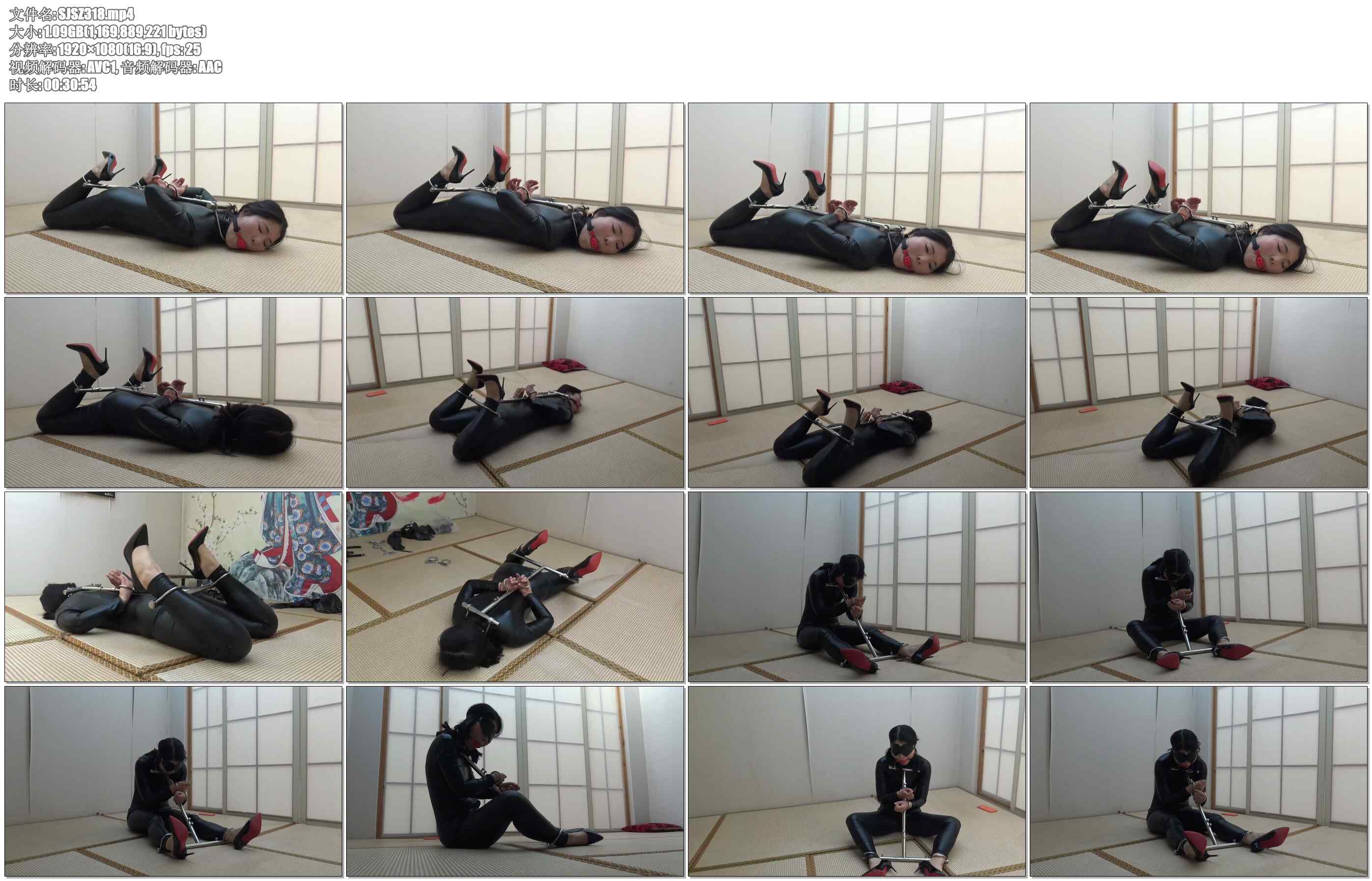 【胜景影视】金属多功能拘束器放置