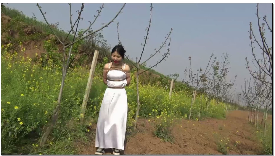 【胜景影视】把M绑到庄子上当稻草人驱赶鸟雀