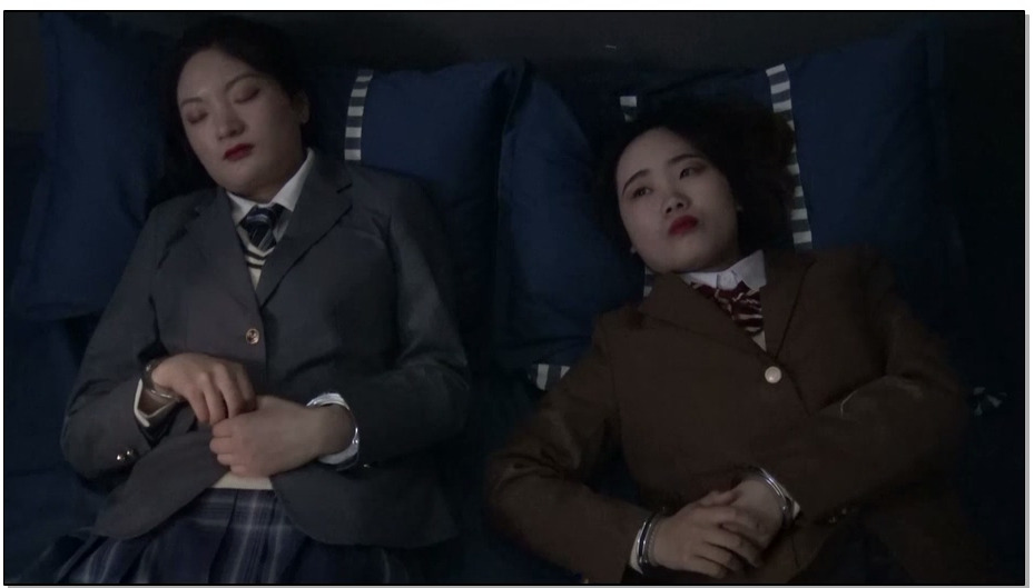 【胜景山庄】陷落双女犯 几名年纪轻轻的美女，为了生活的逼迫，最后走上犯罪的不归路