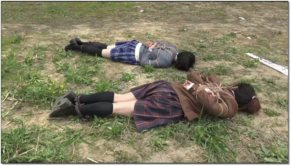 【胜景山庄】陷落双女犯 几名年纪轻轻的美女，为了生活的逼迫，最后走上犯罪的不归路