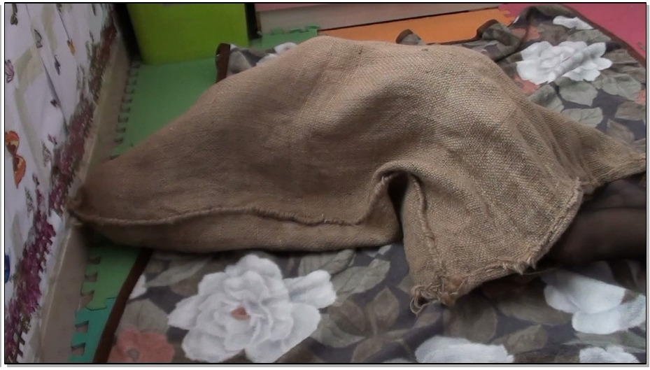 【丝家王】继续麻袋装女人