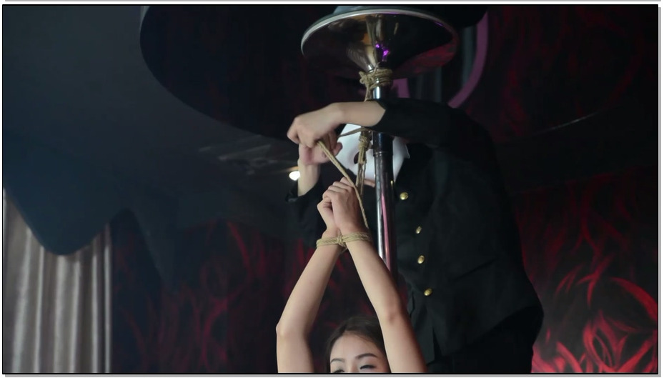 【撒琅制造】钢管舞娘受难记