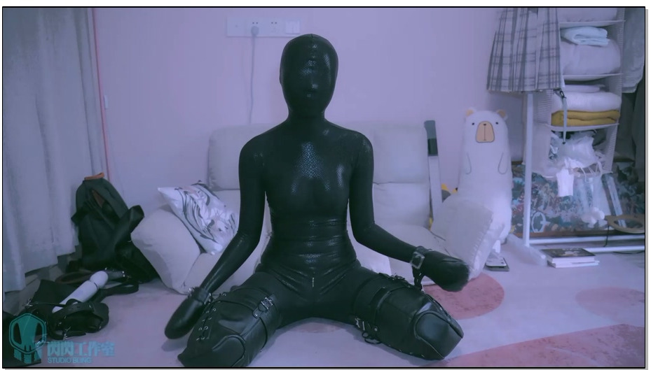 【闪闪工作室】黑曼巴+人形犬装备 与蛇皮狗狗午后玩耍