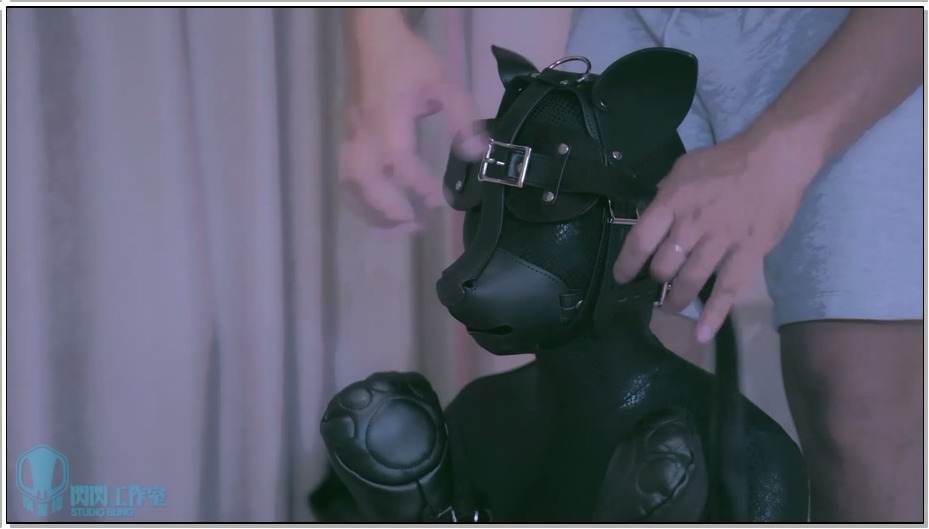 【闪闪工作室】黑曼巴+人形犬装备 与蛇皮狗狗午后玩耍