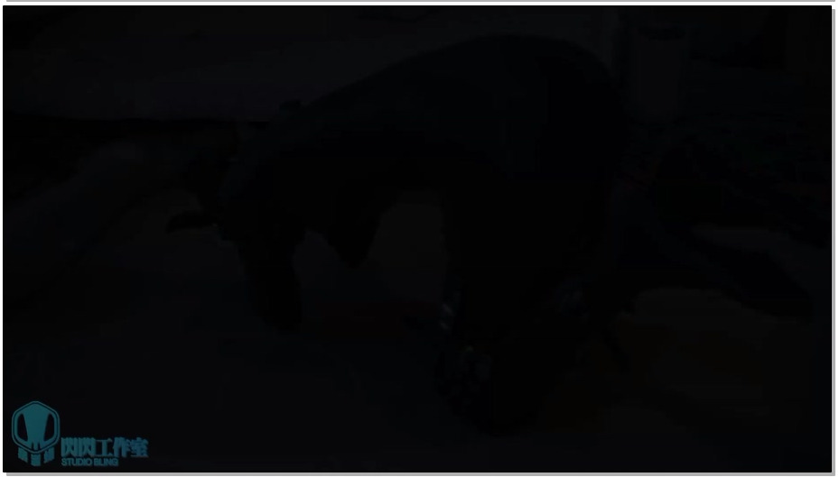 【闪闪工作室】黑曼巴+人形犬装备 与蛇皮狗狗午后玩耍