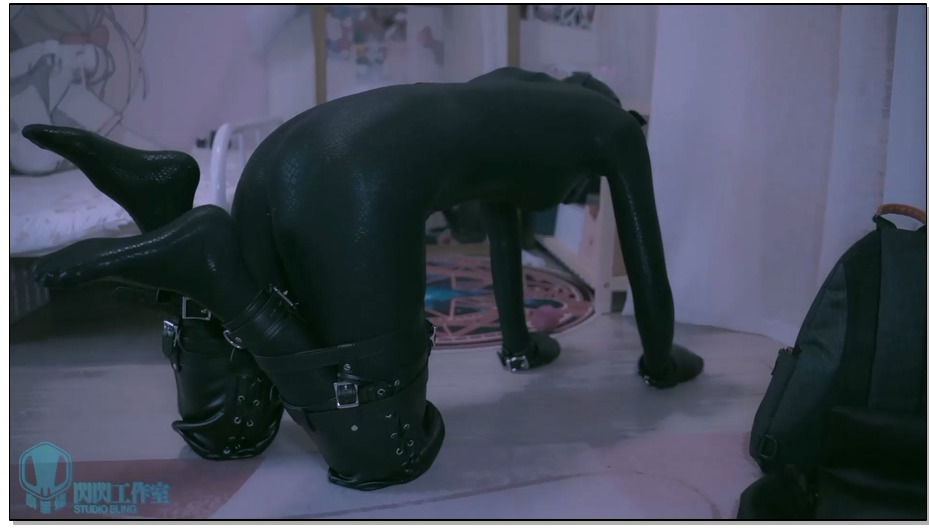 【闪闪工作室】黑曼巴+人形犬装备 与蛇皮狗狗午后玩耍