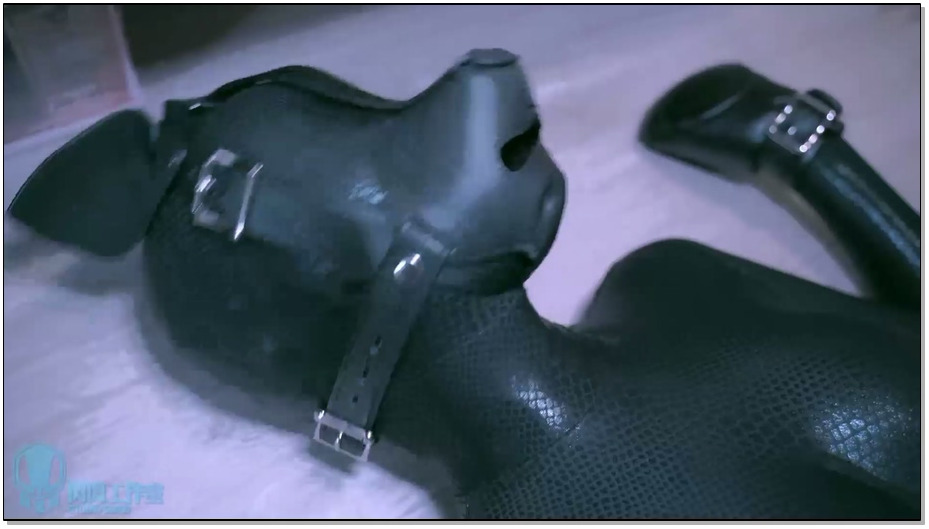 【闪闪工作室】黑曼巴+人形犬装备 与蛇皮狗狗午后玩耍