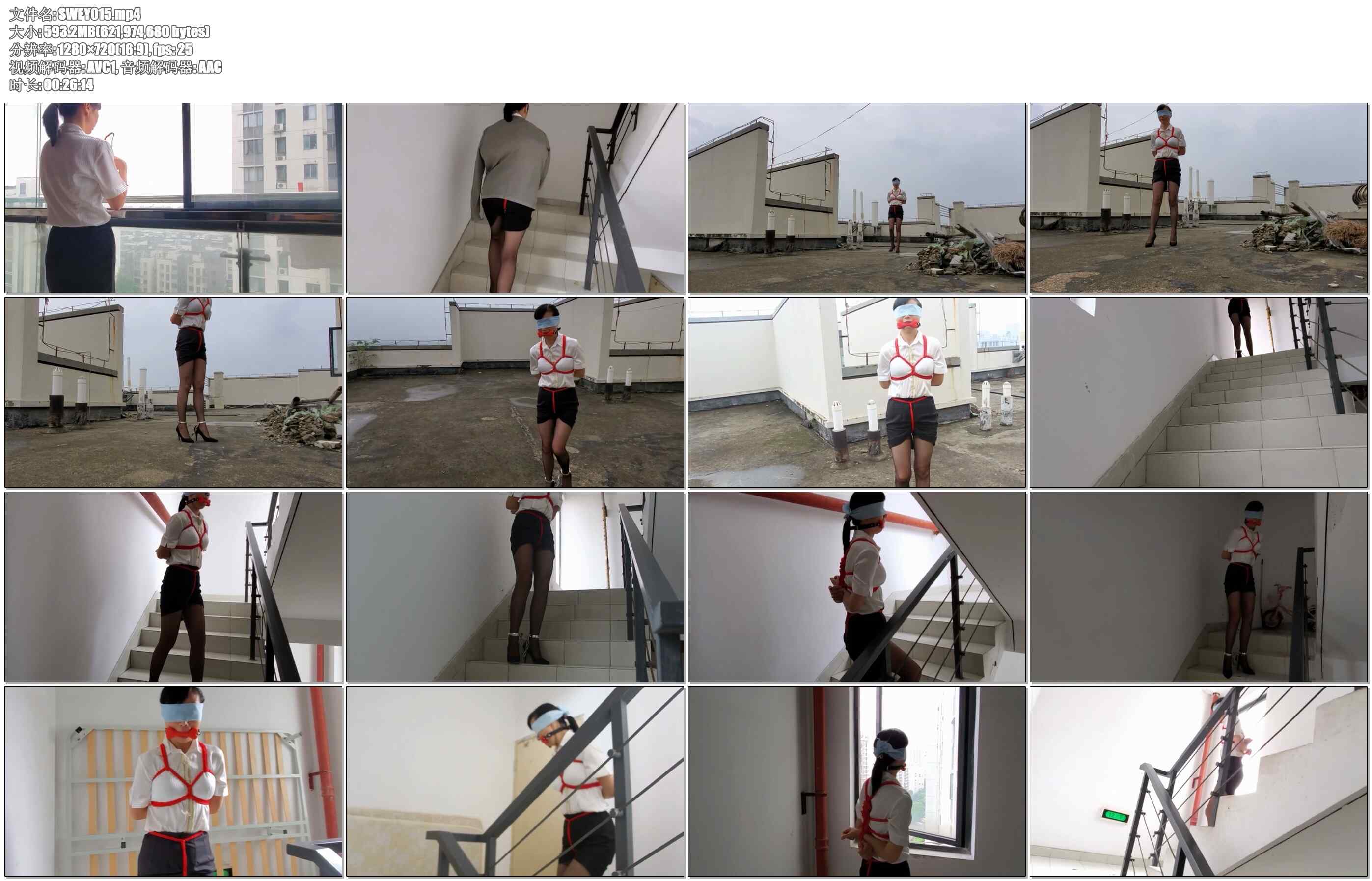 【绳舞飞扬】秘书M楼道惊魂