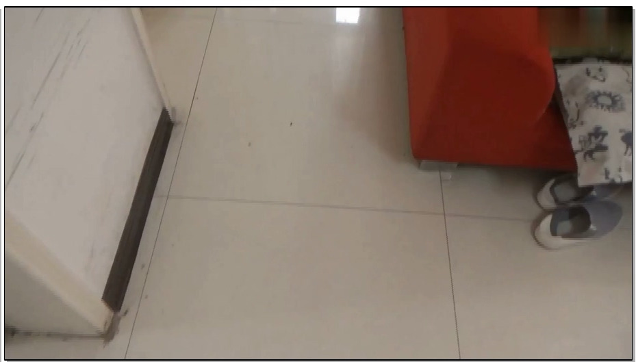 【随心原创】子涵女王调叫夫妻努 辣眼睛口味略重 口味轻者慎入