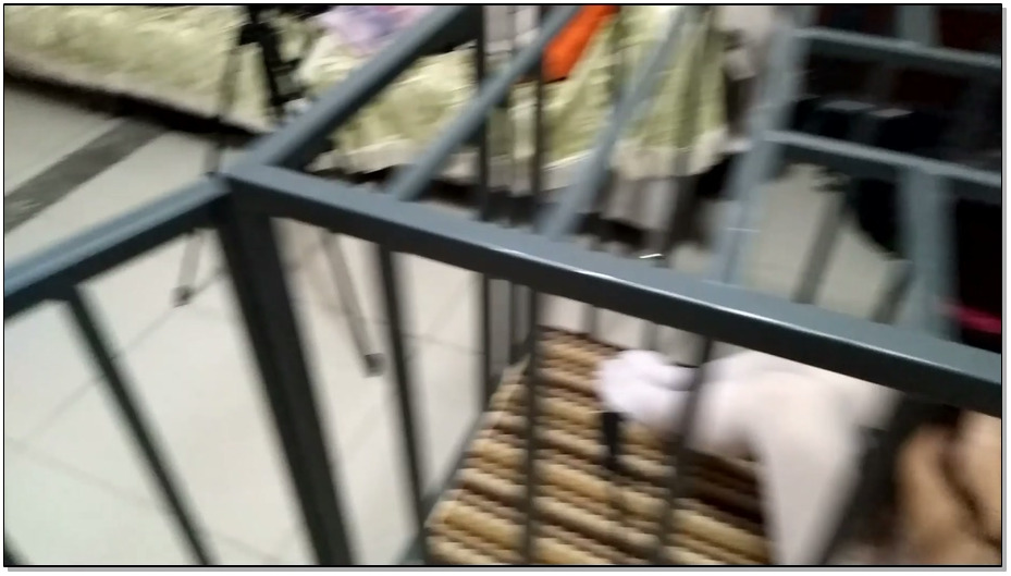【随心原创】丰满小私努 马步训练 犬笼禁锢调叫 塞在笼子里镣铐固定 动弹不得 直至崩溃