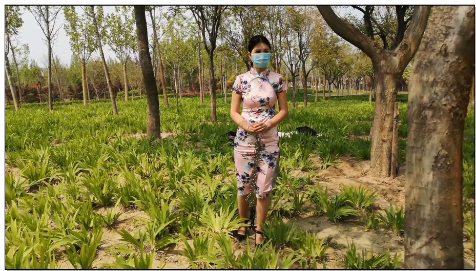【随心原创】长腿真真 高跟押解手铐脚镣 艰难的行走 铐树上