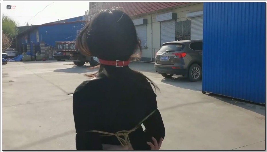 【绳之韵】四月户外1：马路边、小树林，口球、捆绑逛马路，跪下打屁屁、绑在树上摸羞..