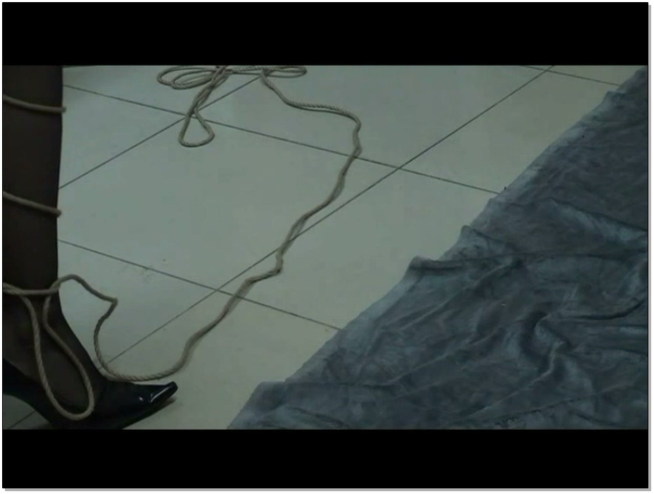 【逍遥】龟甲五花跪式调教