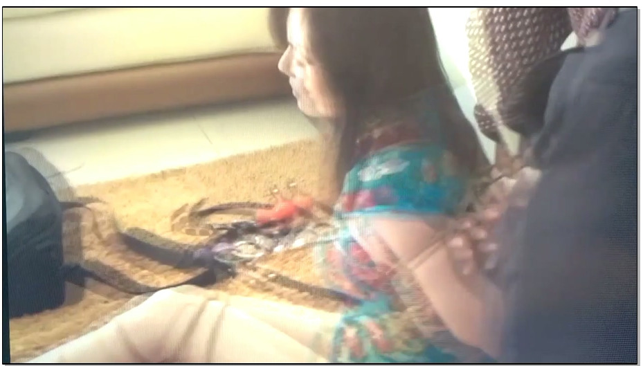 【逍遥】美女老板约会记