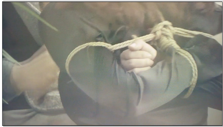 【逍遥】风流老板俏秘书 上